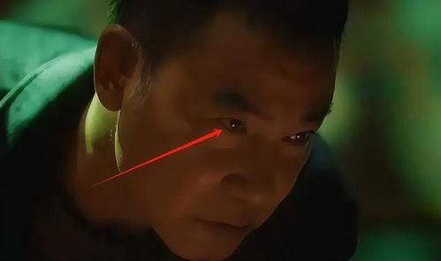 大鸡鸡视频,揭秘网络短视频的趣味与争议