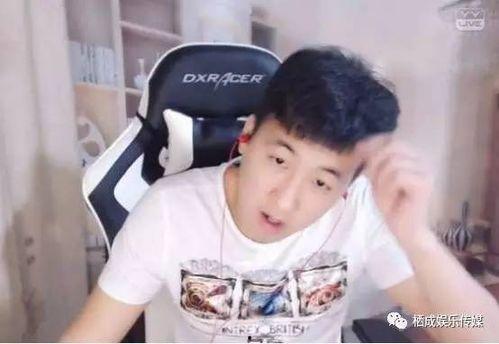 陆哥视频,揭秘生活智慧，畅享精彩人生