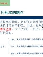 七年级生物视频讲解,探索生命奥秘之旅
