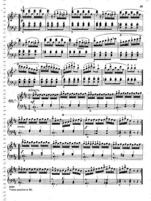 车尔尼599第13条视频,技巧与情感的完美融合