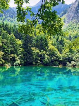 九寨沟美景视频,梦幻仙境，人间瑶池的绝美画卷